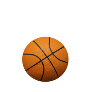 Ballons de basket-ball