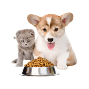 Aliments pour animaux